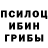 Галлюциногенные грибы Psilocybe Aleksandr Zysko