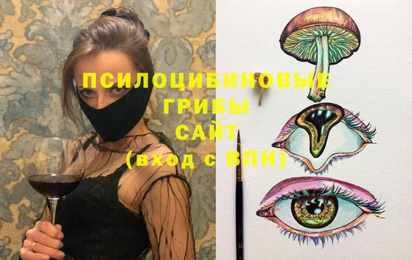 тгк Козельск