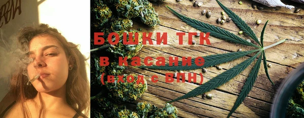 тгк Козельск