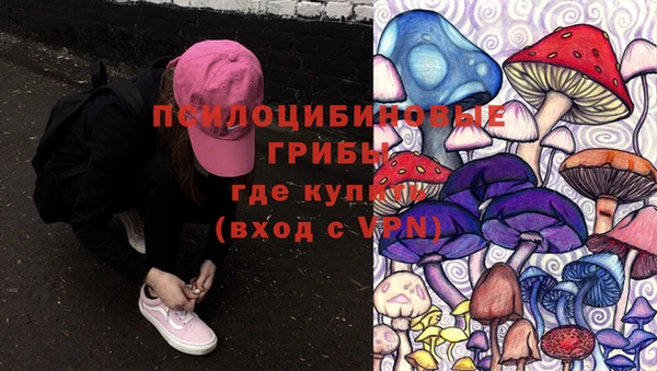 тгк Козельск