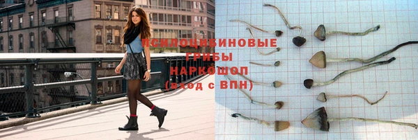 молекула духа Кодинск