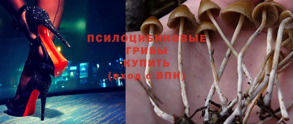молекула духа Кодинск