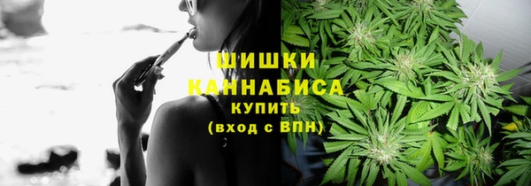 тгк Козельск