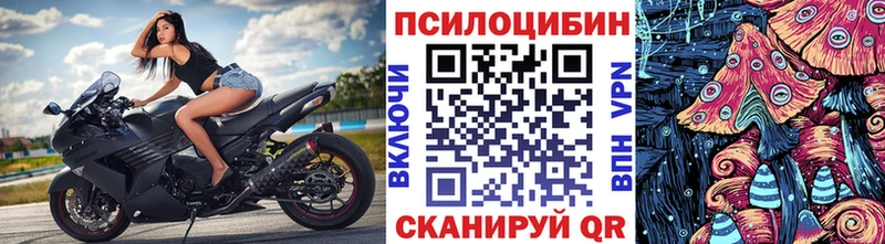 Купить где  Судак  Галлюциногенные грибы прущие грибы 